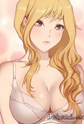 cover-2
